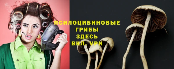 круглые Аркадак